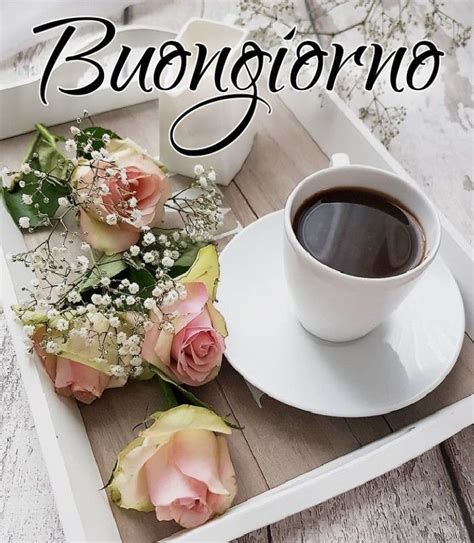 buongiorno fiori e caffe|More.